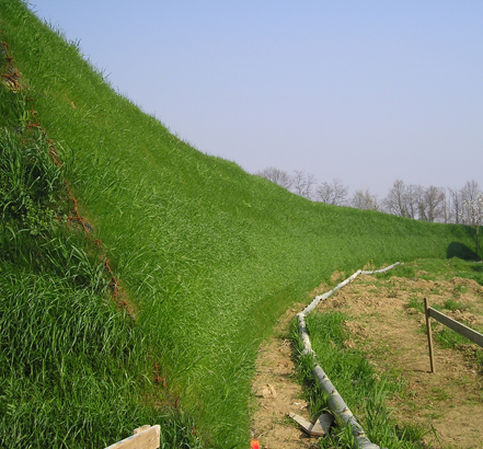 Pro-grass biodegradable fabric helps grass grow successfully Pro-grass biodegradable fabric helps grass grow successfully