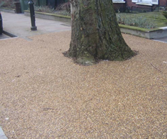 Eco Tree Pit