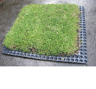 Modular Green Roofs from Wallbarn Modular Green Roofs from Wallbarn