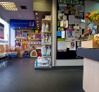 Village Vets, Greater London