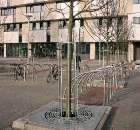 Jones of Oswestry reproduces tree ring motif in Ventraflow tree surrounds for new library Jones of Oswestry reproduces tree ring motif in Ventraflow tree surrounds for new library