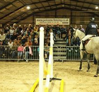 Kent-Based International Show Jumping Star Shares Essential Tips