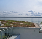 Green Roofing Couldnt Be Simpler with SIG Design & Technology! Green Roofing Couldnt Be Simpler with SIG Design & Technology!