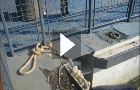 Canary Wharf Floating Pontoon video Canary Wharf Floating Pontoon video