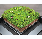 Green light for SIG Design & Technology and Blackdown green roof partnership Green light for SIG Design & Technology and Blackdown green roof partnership