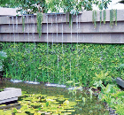 Tourism Malaysia Garden, Chelsea Flower Show
