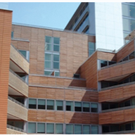 Hardwood cladding and decking: traditional solutions today Hardwood cladding and decking: traditional solutions today