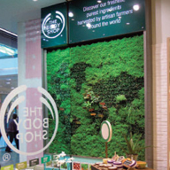 An internal living wall at The Body Shop, Westfield Shopping Centre