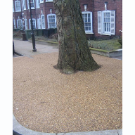 RonaDeck Tree Pit protects life enhancing Hackney trees