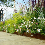 Custom EverEdge Landscape Edging At The Hampton Court Palace Flower Show
