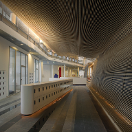 Hunter Douglas wooden ceiling at Faculty of Natural Science, Amsterdam