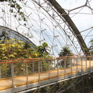 Canopy walkway for Eden Project