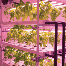 HydroGarden helps University with new research
