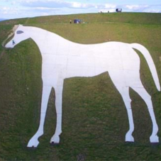 ThermaTech® cleans Westbury White Horse