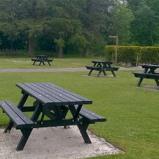 Sustainable Seats and Benches for Country Park