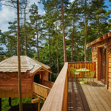 JB Shingles top off luxury Treehouses at Center Parcs