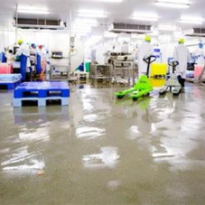 Fast-cure flooring system for The Saucy Fish Co