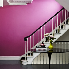 Albany offer perfect paint solutions