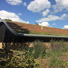 Complete green roof solution for Manor Lodge School