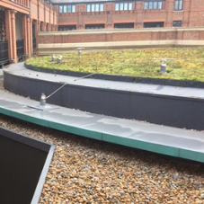 New Green Roof Membrane from IKO Polymeric