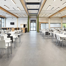 nora ensure excellent acoustics at this BMW Group canteen