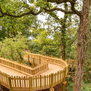 Vincent Timber provided treated softwood for innovative floating walkway