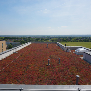 1,500m2 IKO Hot Melt System provides roof for new residents