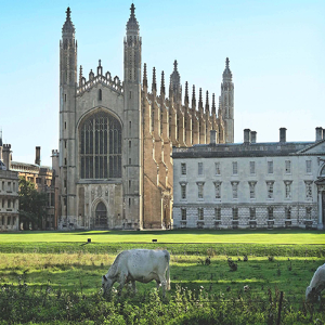 The Solid Wood Flooring Company specified for Kings College Cambridge
