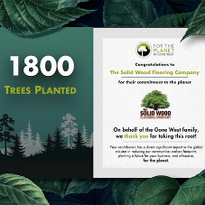 The Solid Wood Flooring Company celebrates 1800 Trees Planted