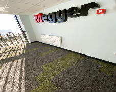 Megger Office Project