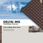 Delta MS Sub Base Protection
