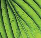 Reynaers has launched a new aluminium window system, compliant with the BRE Green Guide