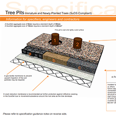Tree Pits Specification