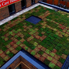 Wallbarn to Showcase a Range of Rooftop Solutions at 100% Design
