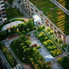 Heatwaves: Can Green Roofs really Cool us down?