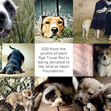 JIS launch charity initiative with Wild at Heart Foundation