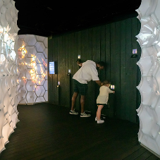 BEES: A Story of Survival Exhibition