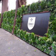 Artificial Green Wall Installation at the Oval Cricket Ground
