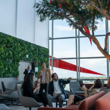 Sunrise Lounge Green Wall at Brussels Airport, Belgium