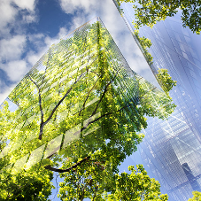 The Role of Sustainable Windows in Building
