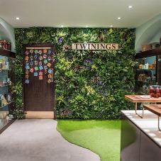 Twinings Tea Shop Green Wall