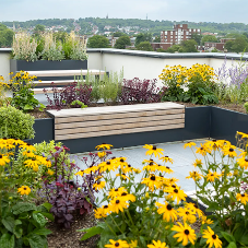 Highgate Road, Kentish Town