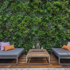 Courtyard Vertical Garden London