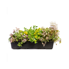 A more sustainable way to green roofs