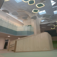 Acoustic Timber Systems at the Royal Academy for Deaf Education