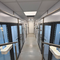 From derelict kennels to a cutting-edge cattery in just over 12 weeks