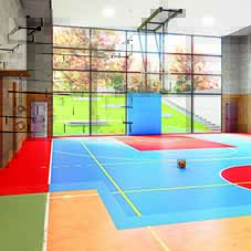 Construction of Sports Surfaces