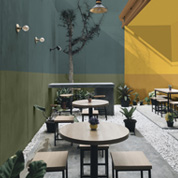 Dulux Trade Color of the Year 2025