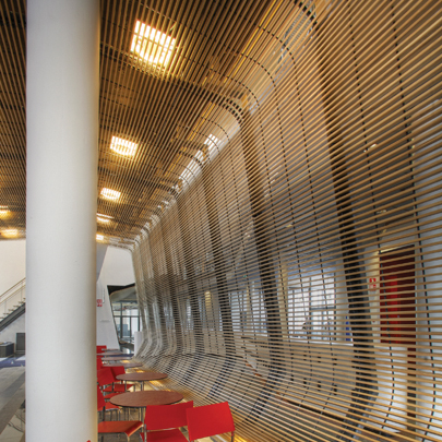 Hunter Douglas Wooden Ceiling At Faculty Of Natural Science Amsterdam
