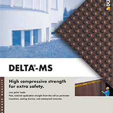 Delta MS Protection